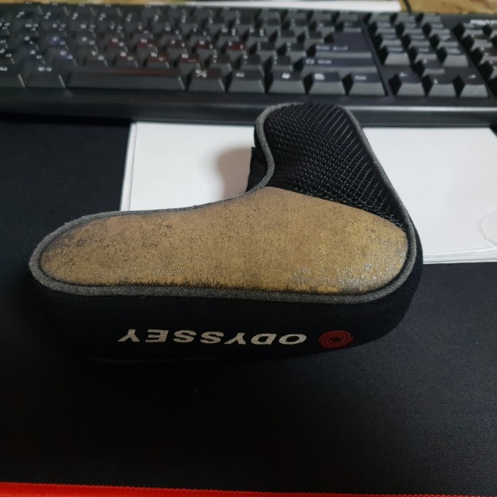  번개장터 오디세이 퍼트커버