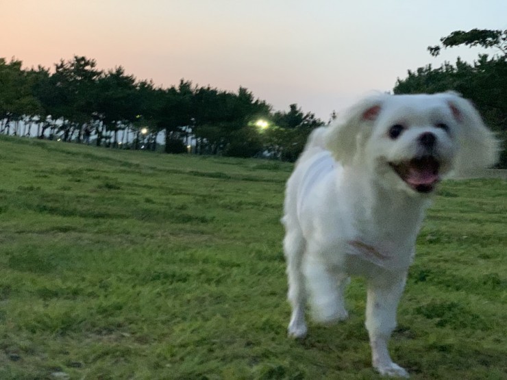  간만에 휴식! 모임 그리고 산책