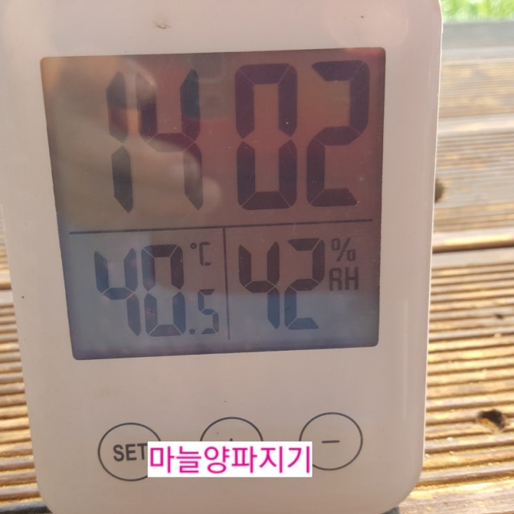  폭염이~~~