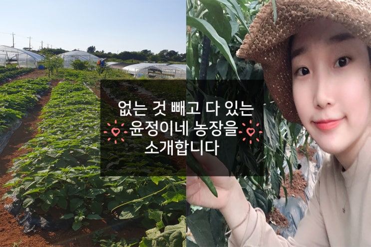  없는 것 빼고 다 있는 윤정이네 농장을 소개합니다.