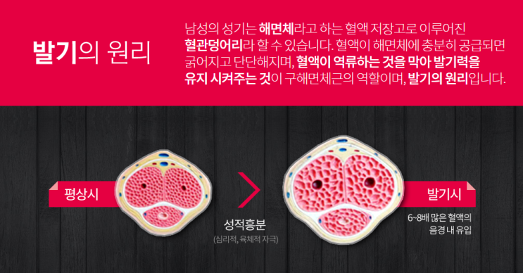  수술 NO 부작용 NO  강한 남자의 완성 은 하루 10분 이면 끝 ! 메디쎈으로 고민 끝!