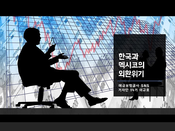  한국과 멕시코의 외환위기