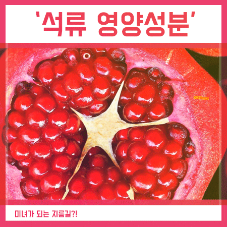  석류 영양성분 및 효능 미녀가 되는 방법?