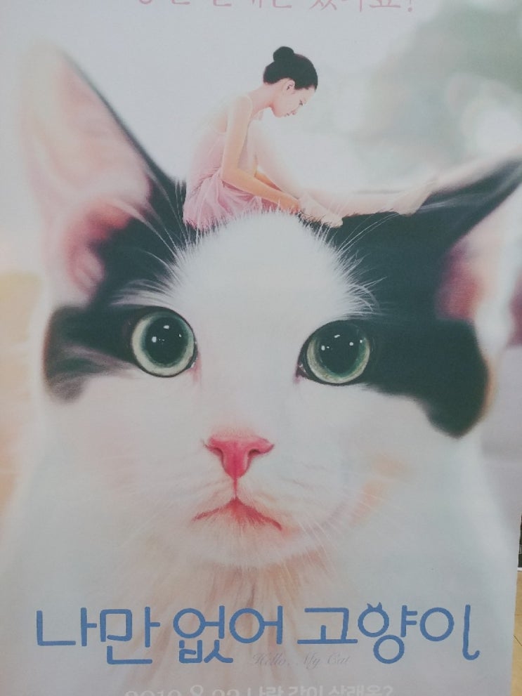  나만없어고양이