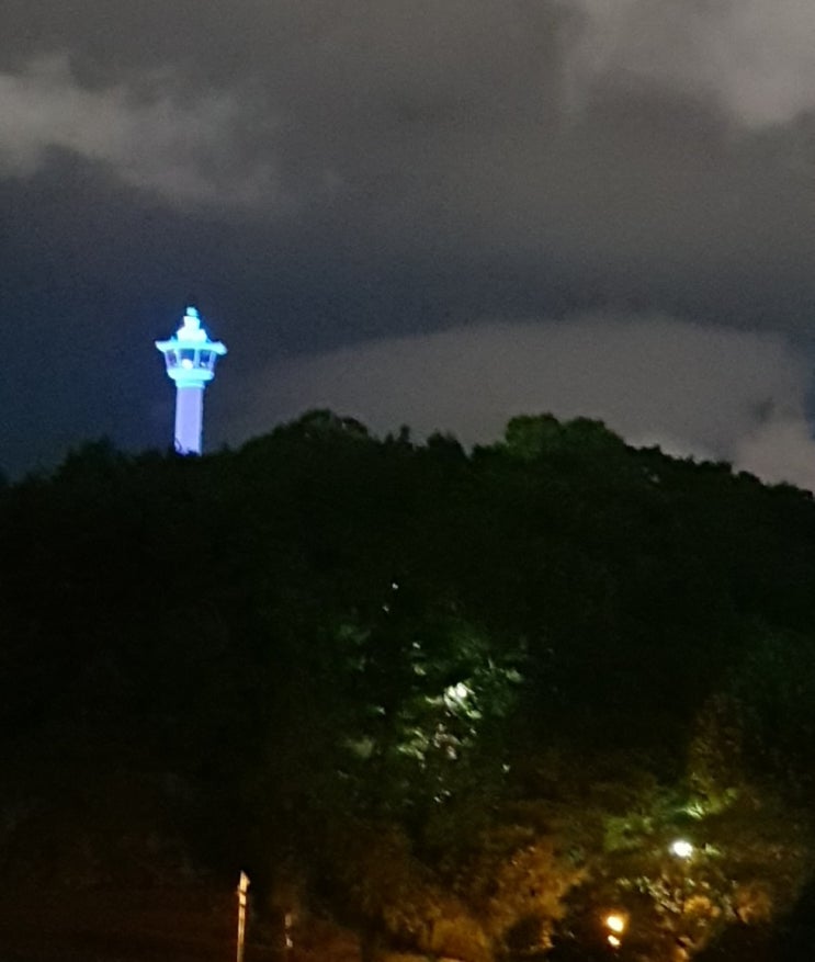  짜루동산에도 태풍 '프란시스코'