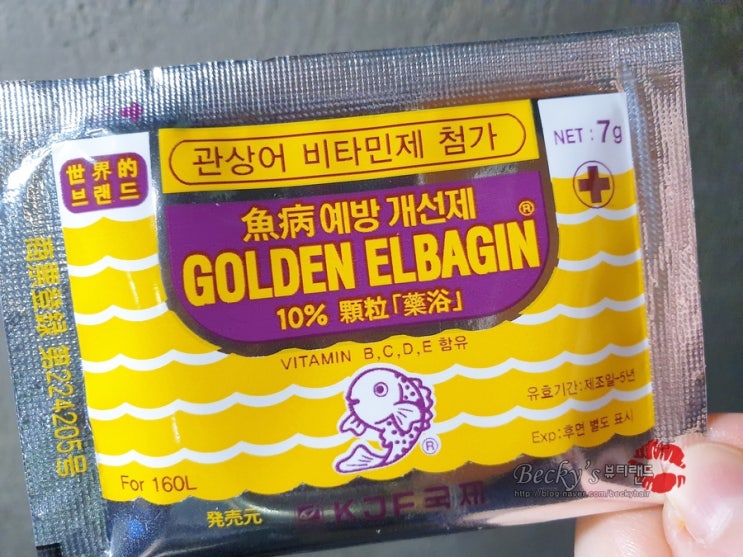  물 생활 열대어 구피 아가미 병 배 마름 병 기생충