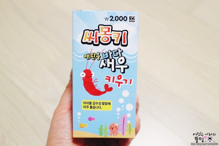  씨몽키 애완용 바다새우 키우기