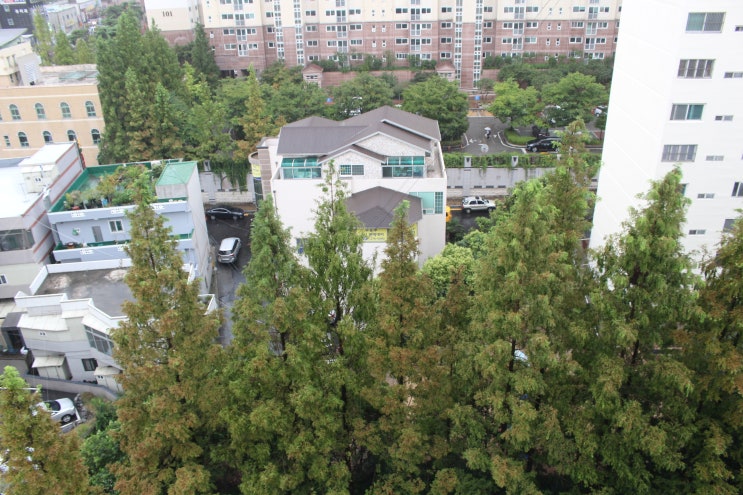  태풍 프란시스코 거제도와부산 인근 상륙 예상