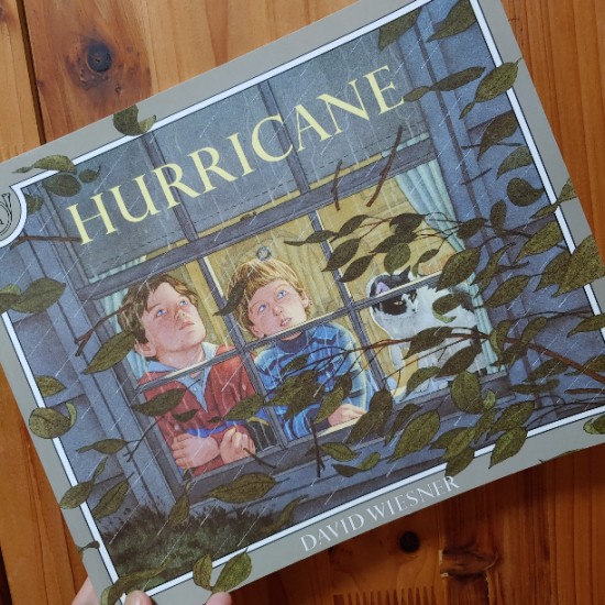  [데이비드 위즈너]1.HURRICANE-현실세계에 상상을 담아내다.