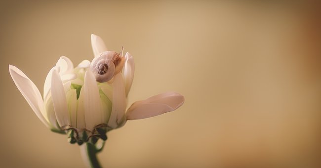  마담모니카/2019년 하반기(7월~12월)운세/전갈자리(원문)