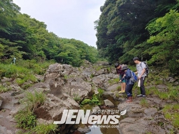 "비자림로 확장, 환경에 미치는 영향 정밀조사“ 요구