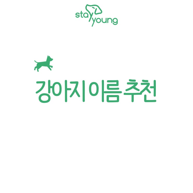  강아지 이름 추천받는다면 저는!