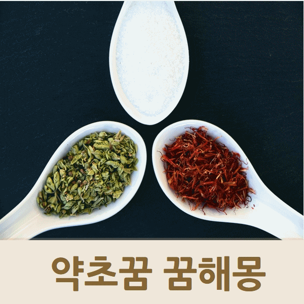  약초꿈 꿈해몽