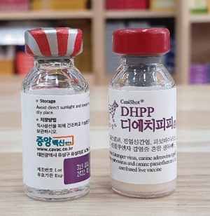  강아지 백신 접종 순서, 종류, 전염병 예방(자가진료, 강아지 백신 챙겨주기, 종합백신, 코로나백신, 켄넬코프백신, 광견병백신,개인플루엔자백신, 반려동물백신, 애완동물백신)