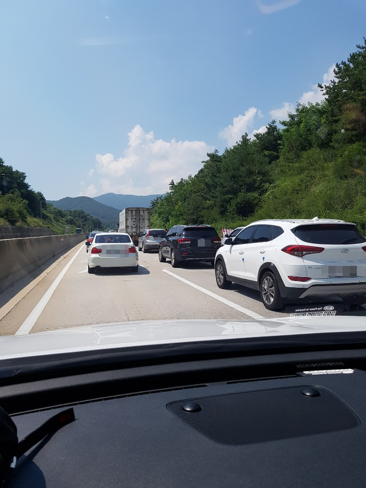  [여행] 대명리조트 단양, 다누리 아쿠아리움