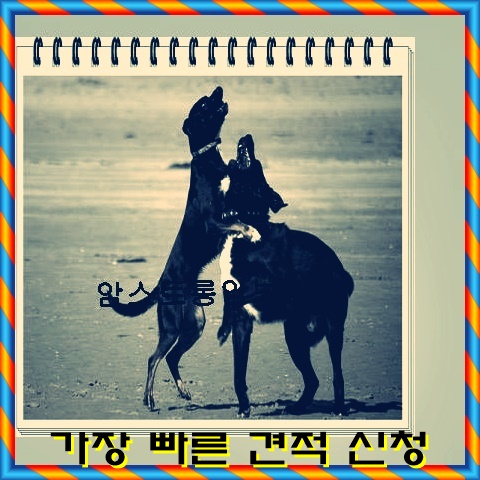  우체국건강클리닉보험 도움되도록