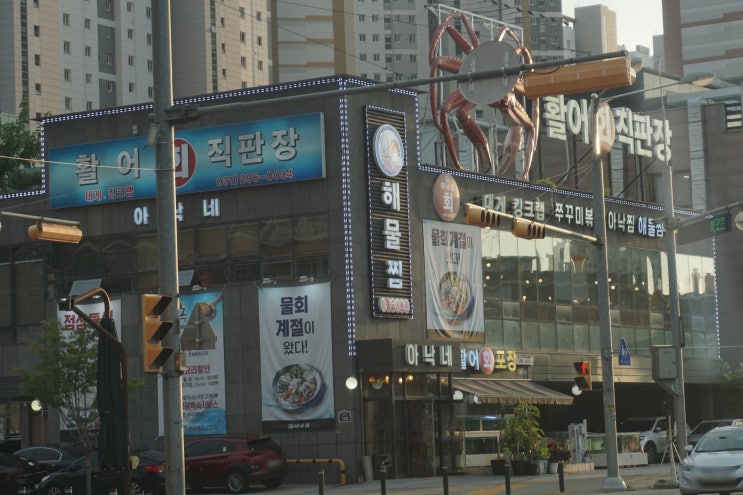  수원 물회, 호매실 맛집 :: 아낙네 수원점
