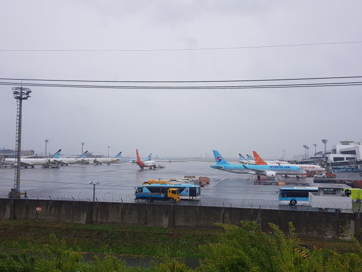  태풍 프란시스코 부산상륙 직전