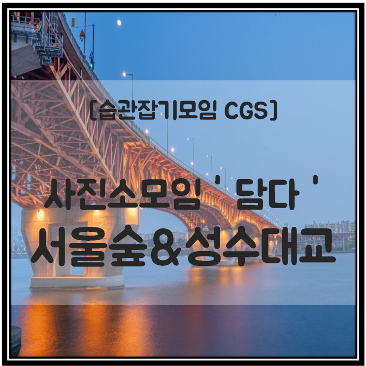  [습관잡기모임 CGS] 사진소모임 '담다' 서울숲 성수대교 포토스팟 직장인 대학생 취미생활