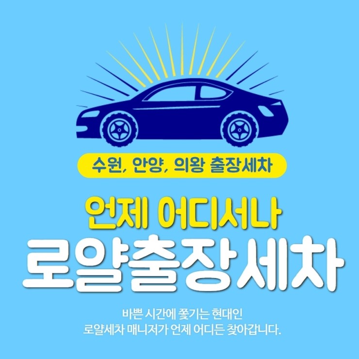  수원 출장세차 벌레제거, 손세차로 완벽히 해결!