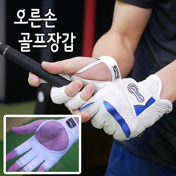 폴베르 기능성 골프장갑 추천! 오른손 골프장갑