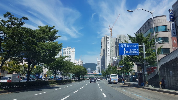  부산운전연수 코스 장롱면허 조기졸업이 가능하다면?