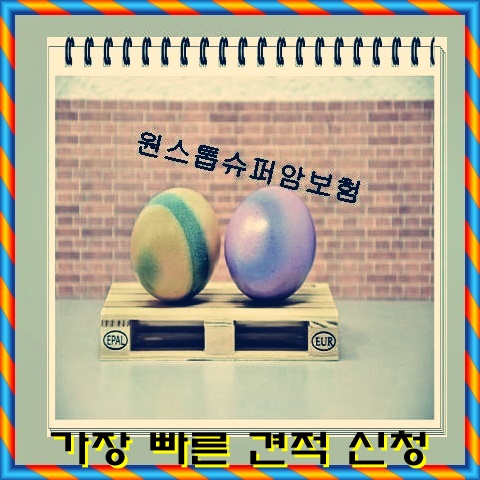  부정맥보험 차근차근
