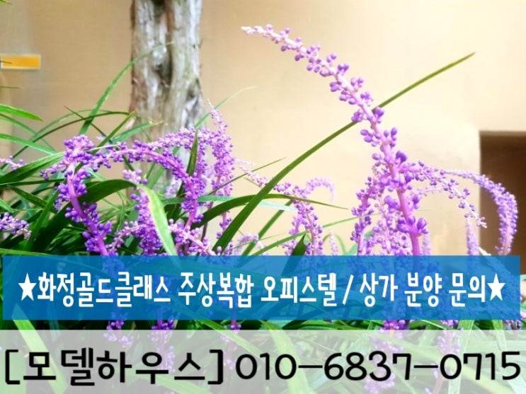  화정 골드클래스 아파트 단지 내 오피스텔 및 상가 분양