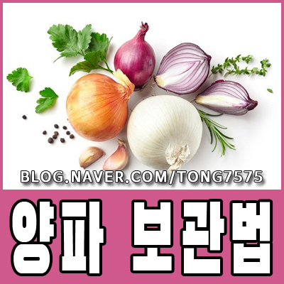  양파 보관법 싱싱하게 오래 보관해봐요