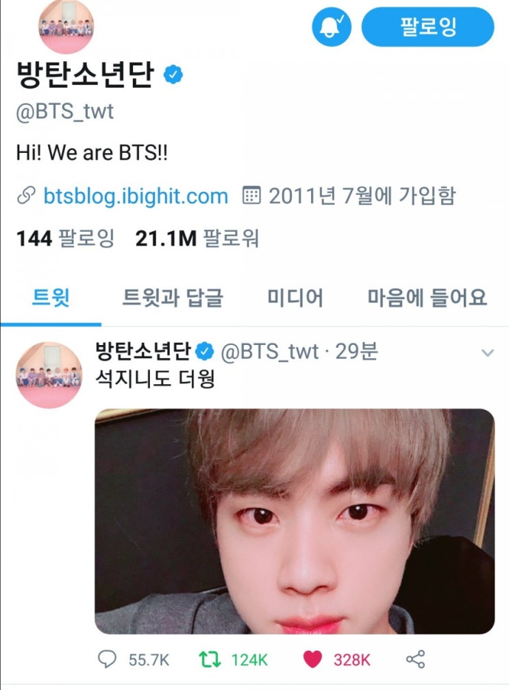  [방탄소년단 진]행복을 전해주는 파랑새 (ft.190806 석지니  트윗)