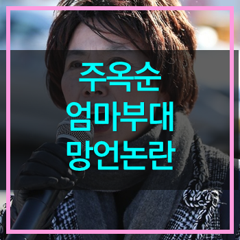  엄마부대 주옥순 망언논란! 참으로 부끄럽다 아베가 그렇게 좋더냐!