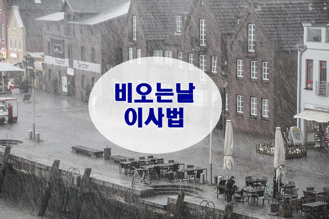  비오는날 이사하기