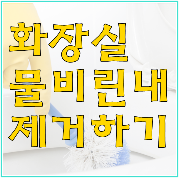 화장실 물비린내 원인과 없애는 방법은?