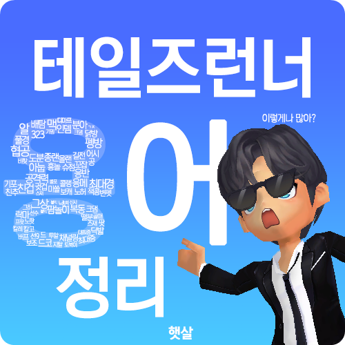  [테일즈런너/테런] 테런 용어 정리!