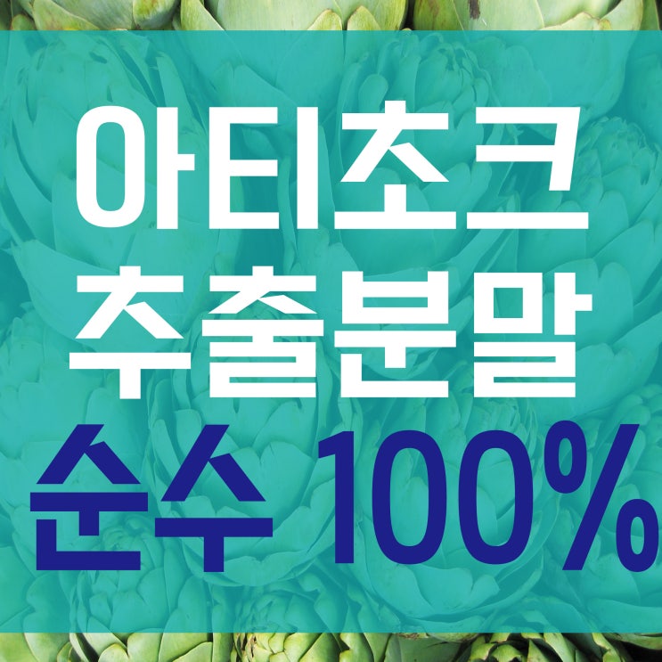  아티초크분말 효능과 먹는법 [아티초크 파는곳]
