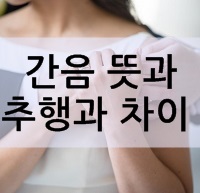  간음 뜻과 추행과 차이