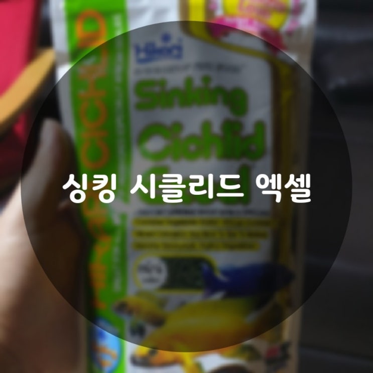  열대어 먹이, 밥? 싱킹 시클리드 엑셀!