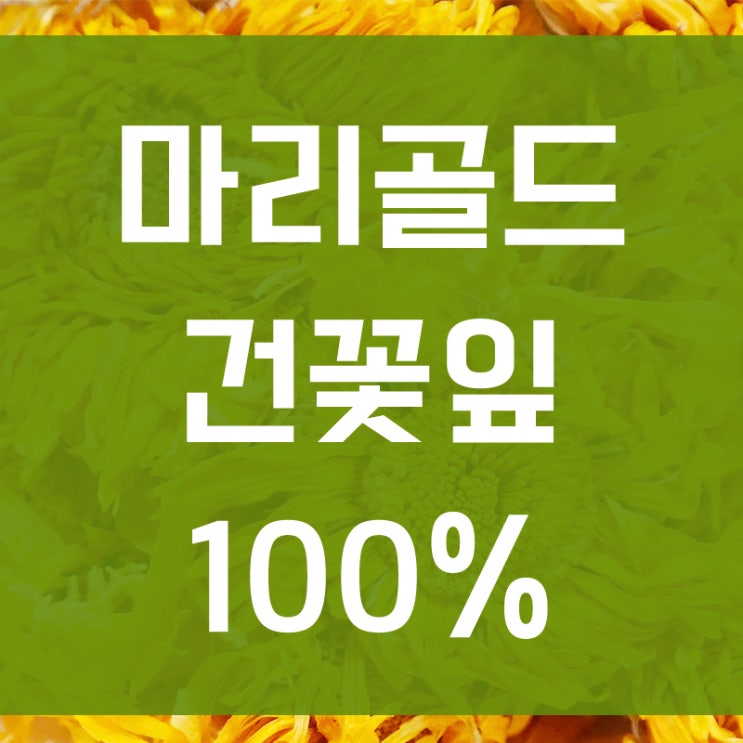  마리골드(메리골드)꽃차 효능과 파는곳 [루테인 효능]