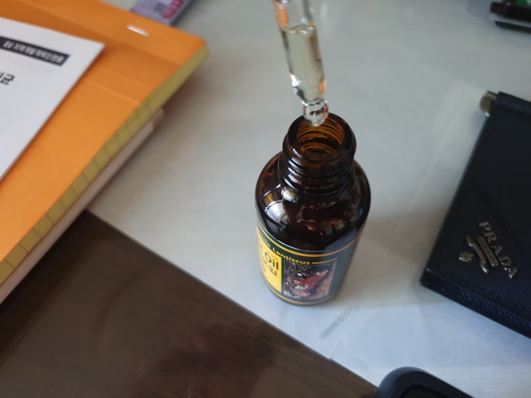 매스틱 오일(Mastic Oil) 가격 뭐가 이리 비싸? 효과는?