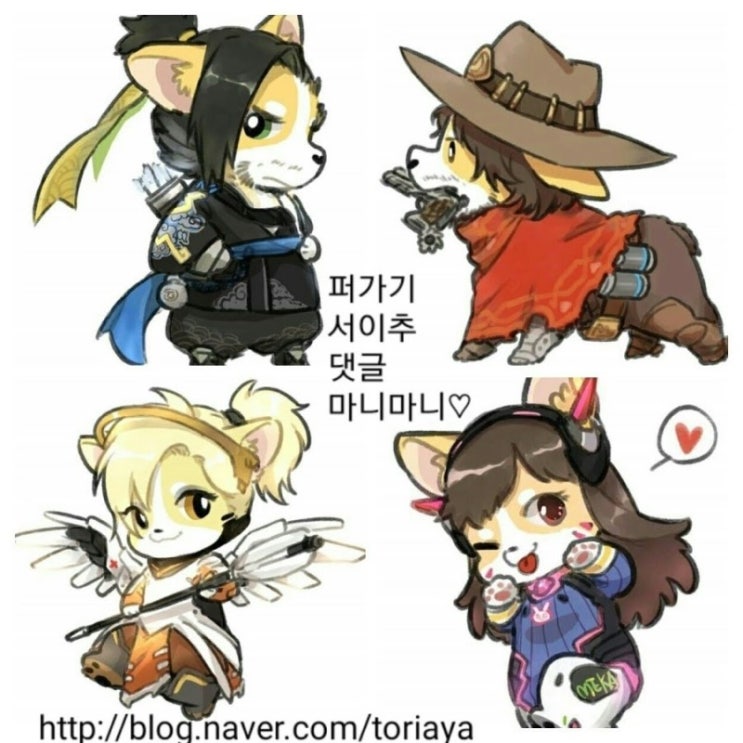  뿌주부 백종원 강불파 1인분 레시피