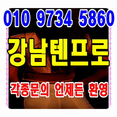  강남 플랜비 구구단 메이비 17번가 알파파 다바아모