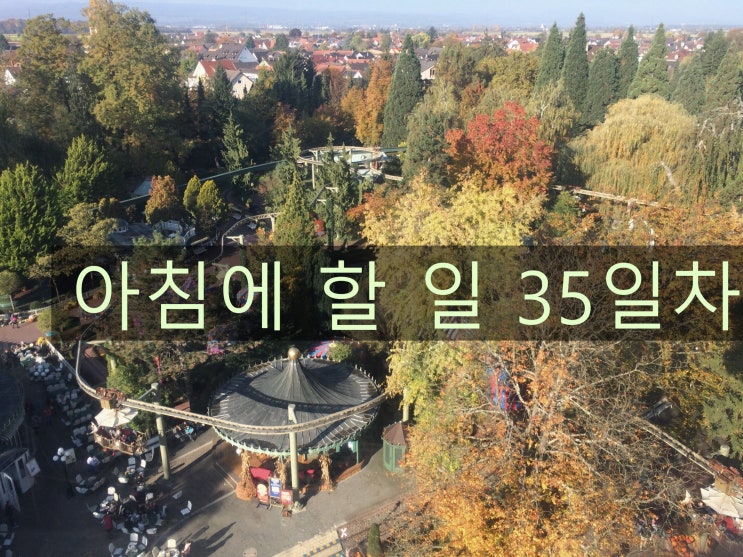  35day 아침에 할 일(feat. 화장실이 어디에요? 중국어, 칡즙, 운동)