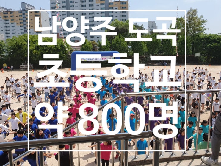  초등학교 운동회 전문 업체 2019년 이벤트파크
