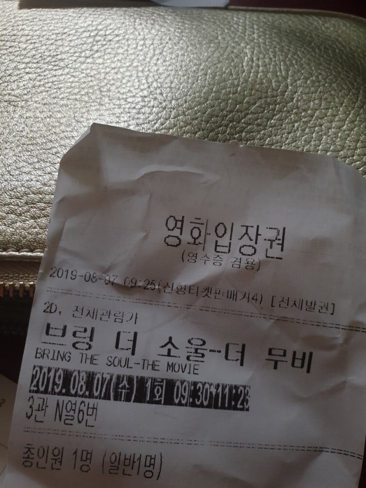  브링 더 소울 봤으 BTS