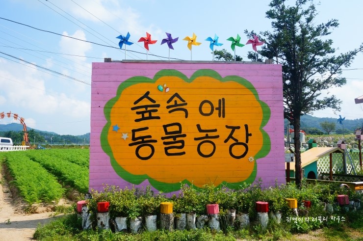  대관령 아이들과 가볼만한곳! 숲속에 동물농장