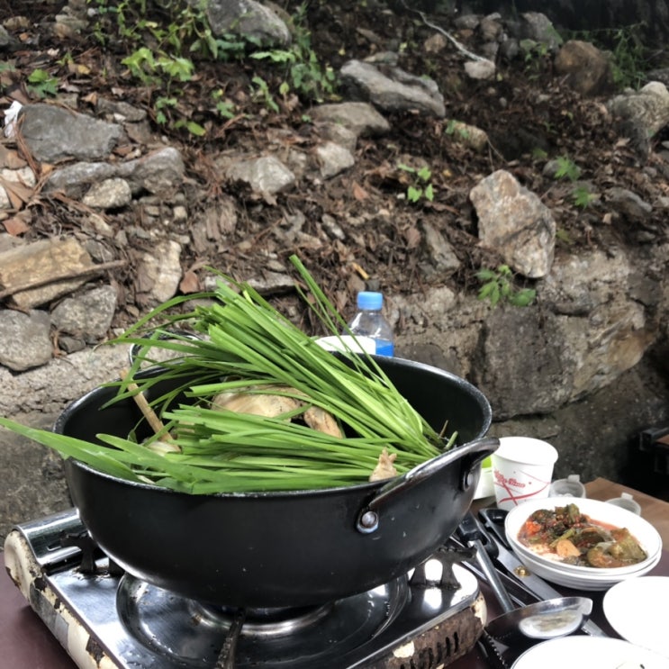  애견동반계곡 :: 도깨비방망이 (wih 순이)