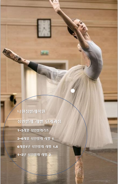  성인발레 레벨표 