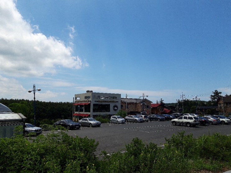  군산맛집 전국3대빵집 군산이성당 줄서서 사먹는빵집  군산한소끔 해물찜