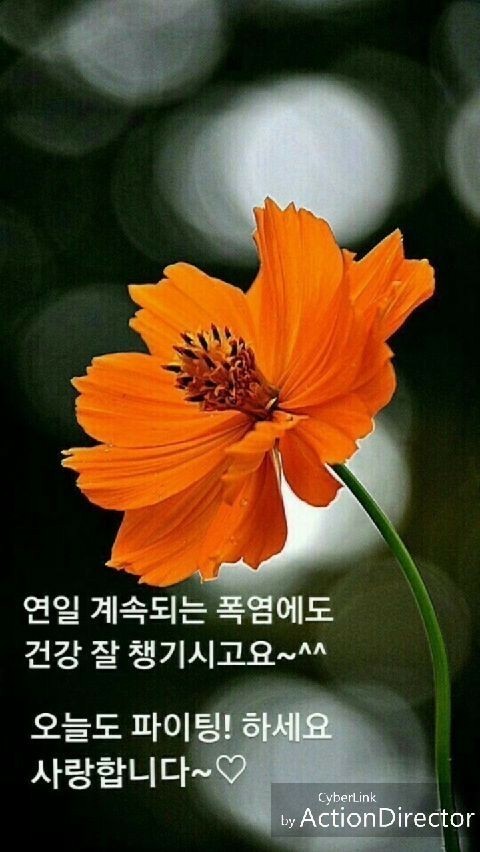  8월7일수요일
