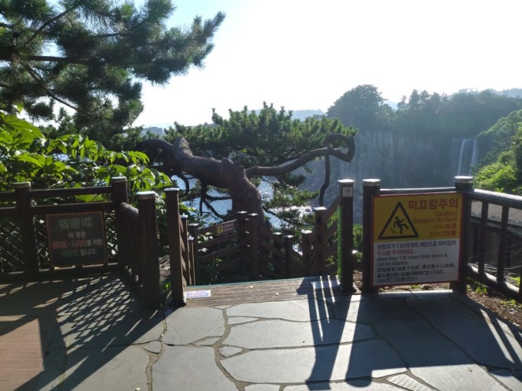  느긋한 제주도 여행기 - 정방 폭포에서 폭염 떨치기